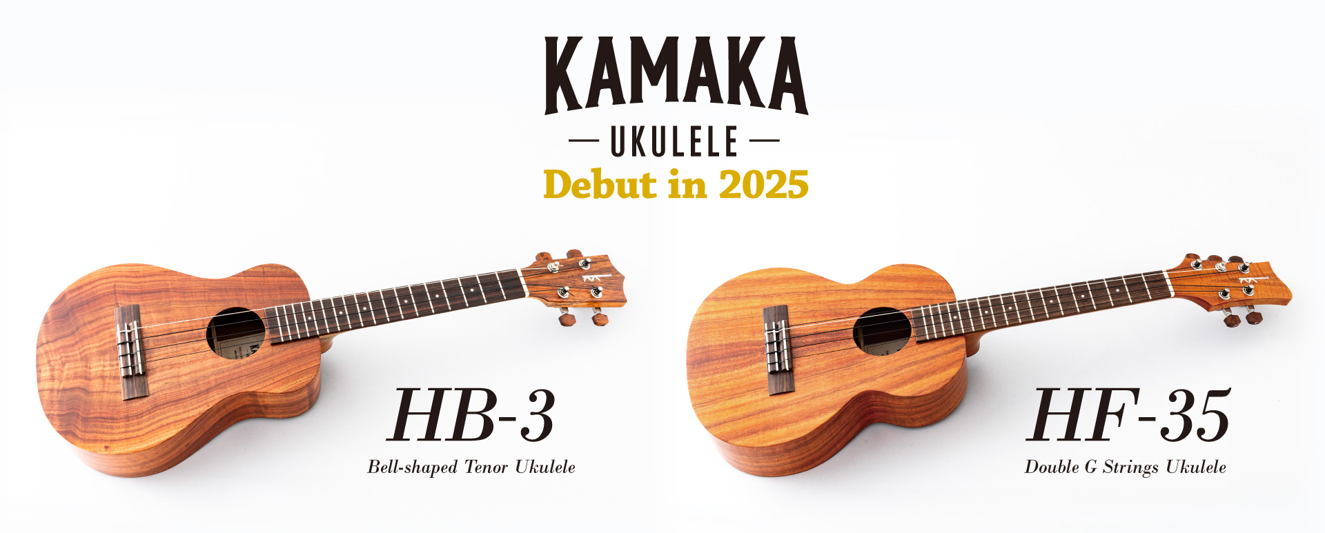 HB-3&HF-35